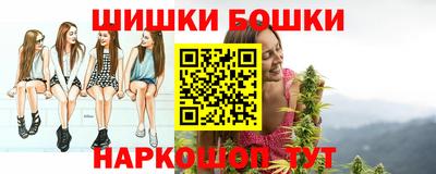 spice Кузнецк