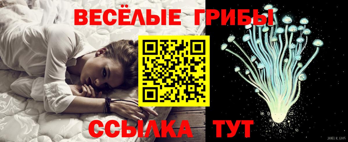 Орёл  Галлюциногенные грибы Psilocybe  Вход с VPN  закладка  Псилоцибиновые грибы Psilocybine cubensis 